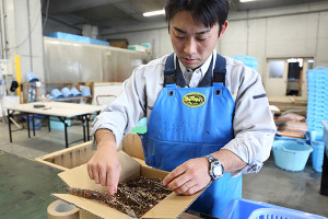 車エビは毎年12月頃、道の駅等に並ぶ他、センターで直接購入することができる。