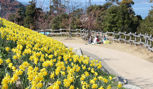 城山歴史公園(上関城跡）