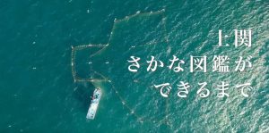 魚図鑑バナー